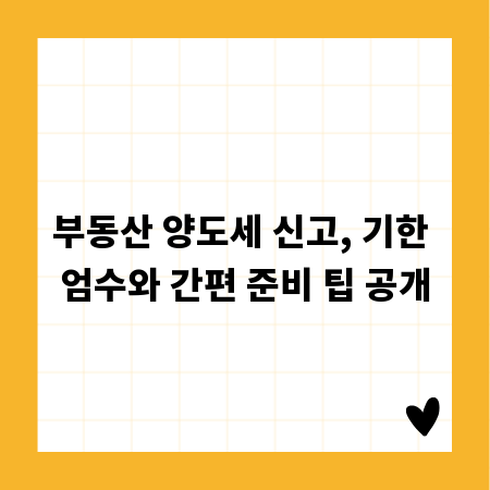 부동산 양도세 신고, 기한 엄수와 간편 준비 팁 공개