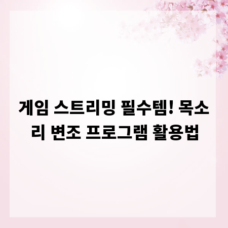 게임 스트리밍 필수템! 목소리 변조 프로그램 활용법