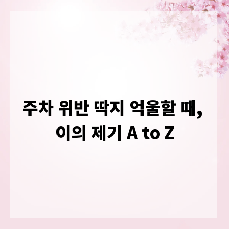 주차 위반 딱지 억울할 때, 이의 제기 A to Z
