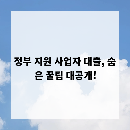 정부 지원 사업자 대출, 숨은 꿀팁 대공개!