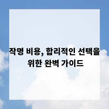 작명 비용, 합리적인 선택을 위한 완벽 가이드