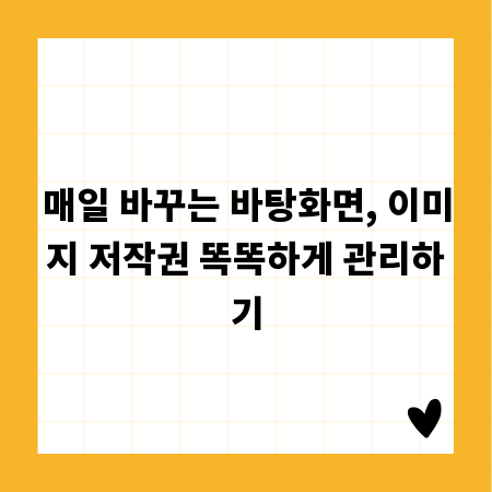 매일 바꾸는 바탕화면, 이미지 저작권 똑똑하게 관리하기