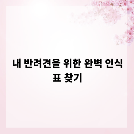 내 반려견을 위한 완벽 인식표 찾기