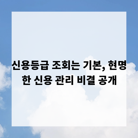 신용등급 조회는 기본, 현명한 신용 관리 비결 공개