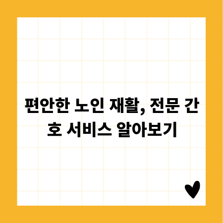 편안한 노인 재활, 전문 간호 서비스 알아보기