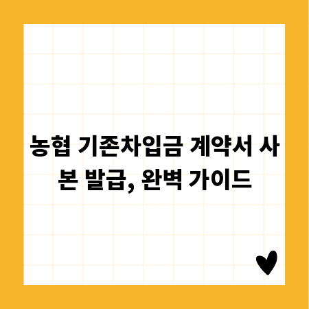 완벽한 수영복 사진, 사진 편집 팁 완벽 가이드
