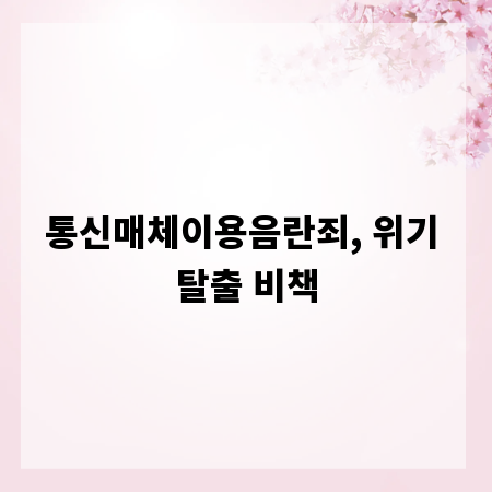통신매체이용음란죄, 위기 탈출 비책