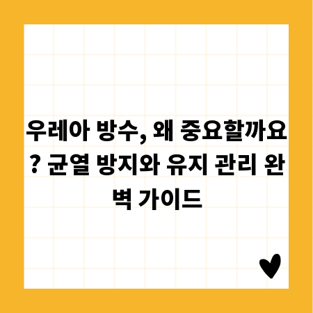 우레아 방수, 왜 중요할까요? 균열 방지와 유지 관리 완벽 가이드