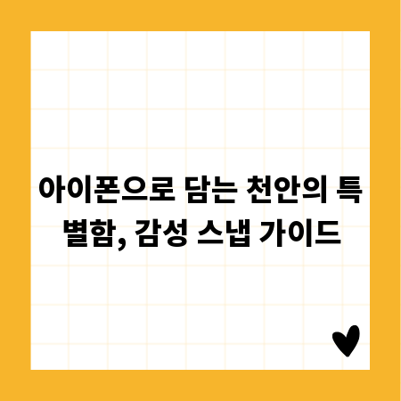 아이폰으로 담는 천안의 특별함, 감성 스냅 가이드