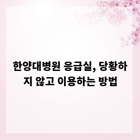 한양대병원 응급실, 당황하지 않고 이용하는 방법