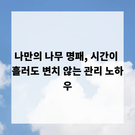 나만의 나무 명패, 시간이 흘러도 변치 않는 관리 노하우