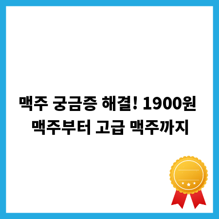 맥주 궁금증 해결! 1900원 맥주부터 고급 맥주까지