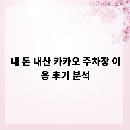 내 돈 내산 카카오 주차장 이용 후기 분석