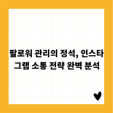 팔로워 관리의 정석, 인스타그램 소통 전략 완벽 분석