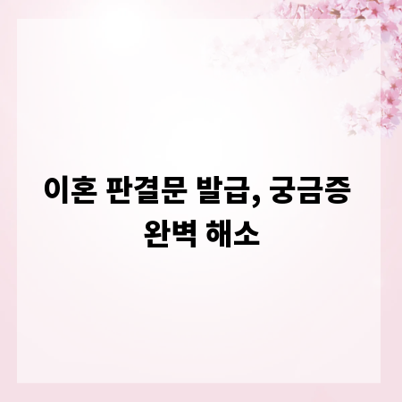 이혼 판결문 발급, 궁금증 완벽 해소