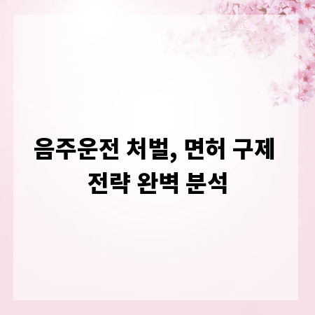 음주운전 처벌, 면허 구제 전략 완벽 분석