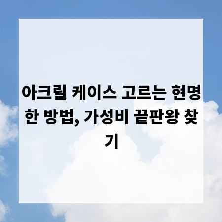 아크릴 케이스 고르는 현명한 방법, 가성비 끝판왕 찾기