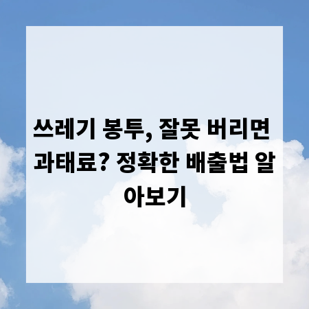 쓰레기 봉투, 잘못 버리면 과태료? 정확한 배출법 알아보기