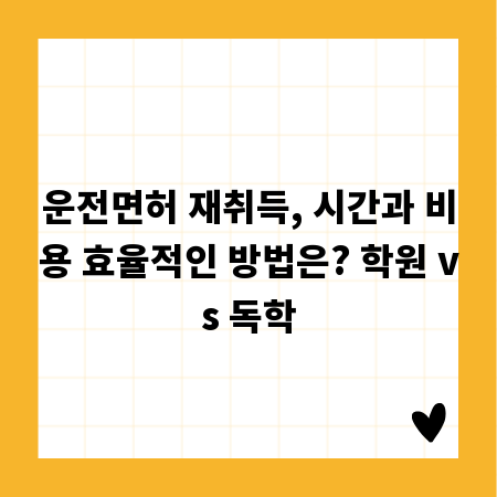 운전면허 재취득, 시간과 비용 효율적인 방법은? 학원 vs 독학