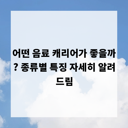 어떤 음료 캐리어가 좋을까? 종류별 특징 자세히 알려드림