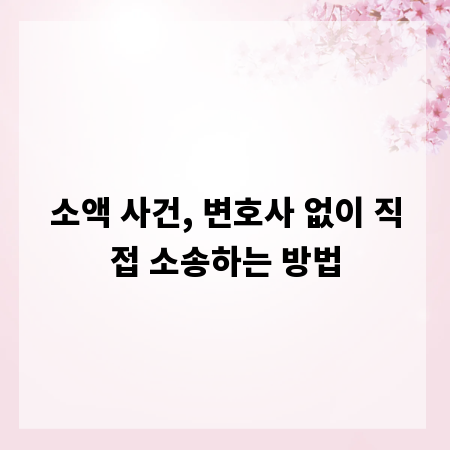 소액 사건, 변호사 없이 직접 소송하는 방법