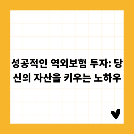 성공적인 역외보험 투자: 당신의 자산을 키우는 노하우