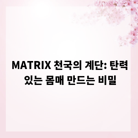 MATRIX 천국의 계단: 탄력 있는 몸매 만드는 비밀