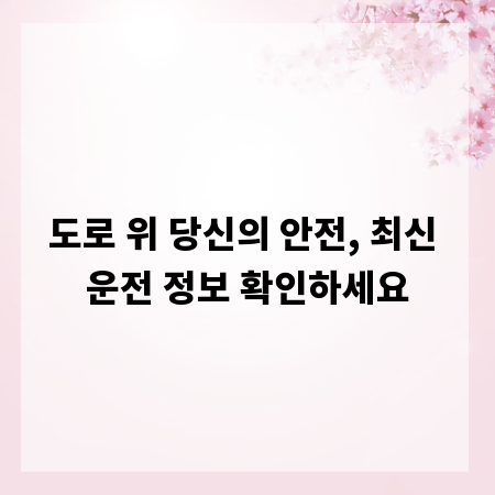 도로 위 당신의 안전, 최신 운전 정보 확인하세요