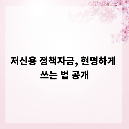 저신용 정책자금, 현명하게 쓰는 법 공개