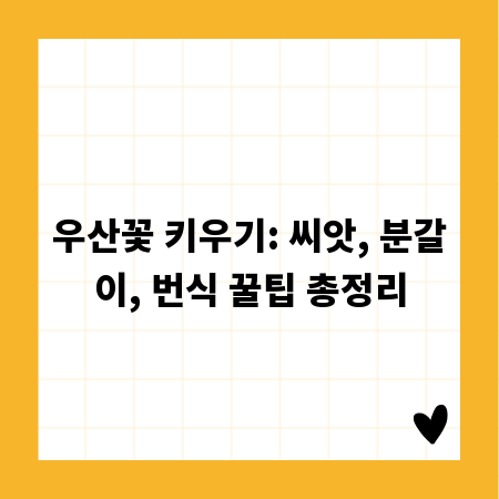 우산꽃 키우기: 씨앗, 분갈이, 번식 꿀팁 총정리