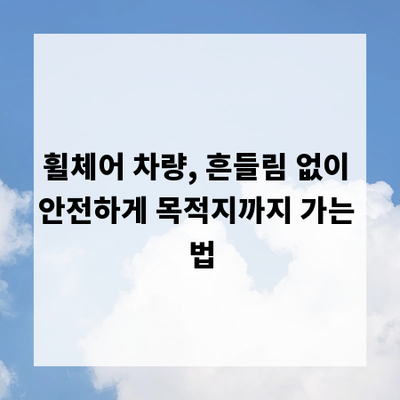 휠체어 차량, 흔들림 없이 안전하게 목적지까지 가는 법