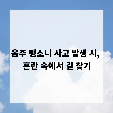 음주 뺑소니 사고 발생 시, 혼란 속에서 길 찾기