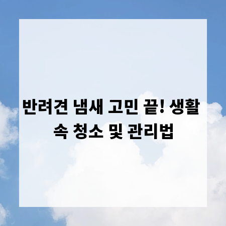 반려견 냄새 고민 끝! 생활 속 청소 및 관리법