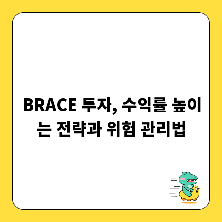 BRACE 투자, 수익률 높이는 전략과 위험 관리법