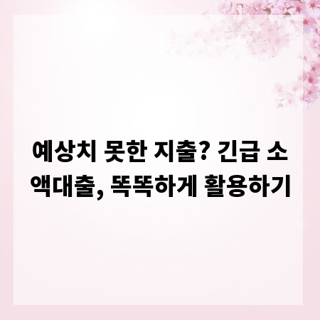 예상치 못한 지출? 긴급 소액대출, 똑똑하게 활용하기
