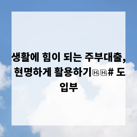 생활에 힘이 되는 주부대출, 현명하게 활용하기
# 도입부