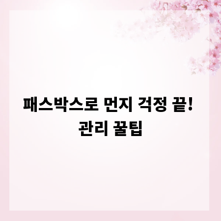 패스박스로 먼지 걱정 끝! 관리 꿀팁