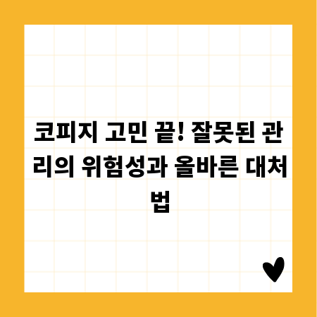 코피지 고민 끝! 잘못된 관리의 위험성과 올바른 대처법