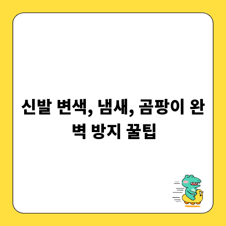 신발 변색, 냄새, 곰팡이 완벽 방지 꿀팁