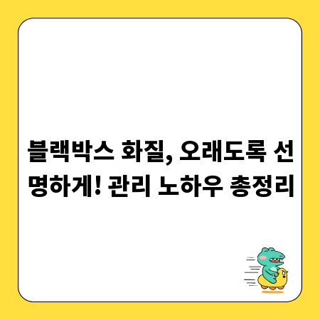 블랙박스 화질, 오래도록 선명하게! 관리 노하우 총정리