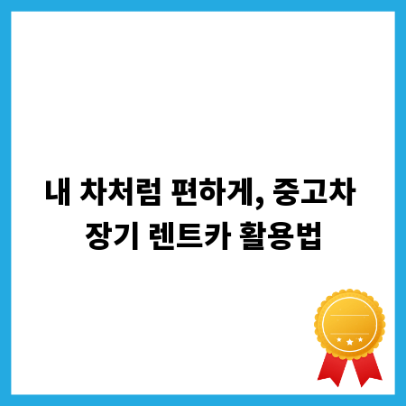 내 차처럼 편하게, 중고차 장기 렌트카 활용법