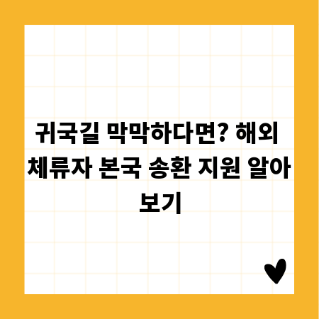 귀국길 막막하다면? 해외 체류자 본국 송환 지원 알아보기