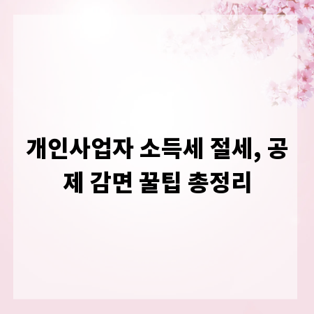 개인사업자 소득세 절세, 공제 감면 꿀팁 총정리