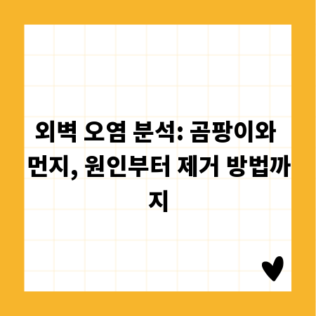 외벽 오염 분석: 곰팡이와 먼지, 원인부터 제거 방법까지