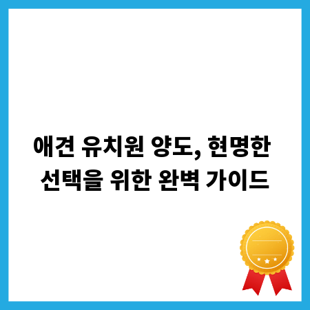 애견 유치원 양도, 현명한 선택을 위한 완벽 가이드
