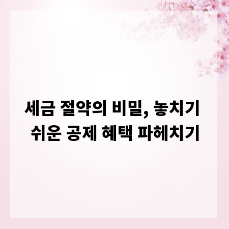 세금 절약의 비밀, 놓치기 쉬운 공제 혜택 파헤치기