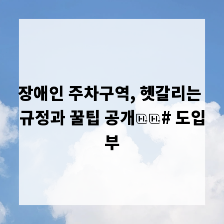 장애인 주차구역, 헷갈리는 규정과 꿀팁 공개
# 도입부