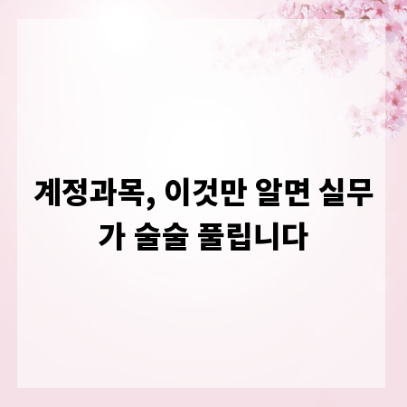 계정과목, 이것만 알면 실무가 술술 풀립니다