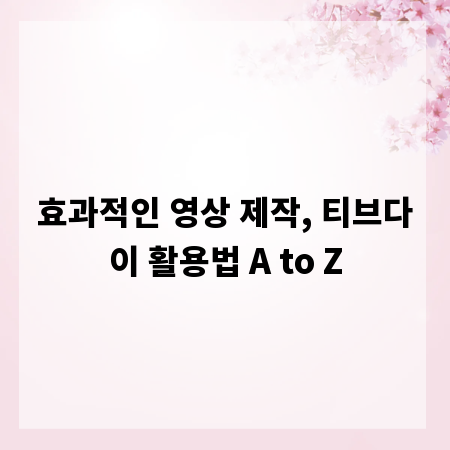 효과적인 영상 제작, 티브다이 활용법 A to Z