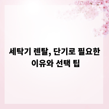 세탁기 렌탈, 단기로 필요한 이유와 선택 팁